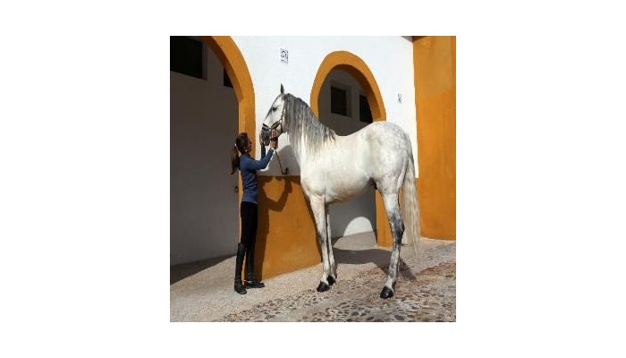 Villa Nazules Hipica & Spa poza 6