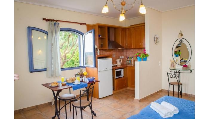 Diana Studios poza 5