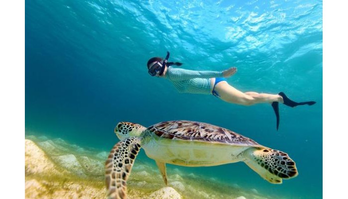 Hotel Iakinthos Tsilivi Beach poza 9