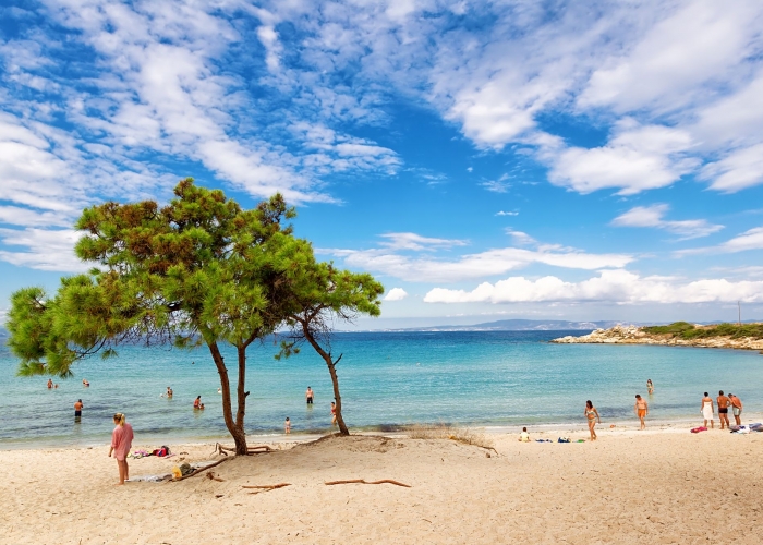  Halkidiki Polygyros poza