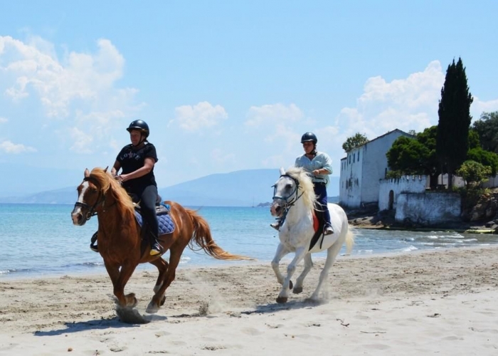  Insula Corfu Benitses poza