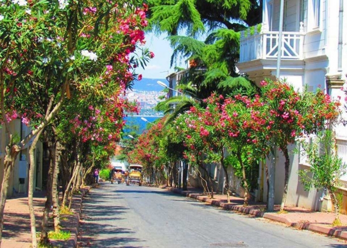  Istanbul Sultanahmet poza