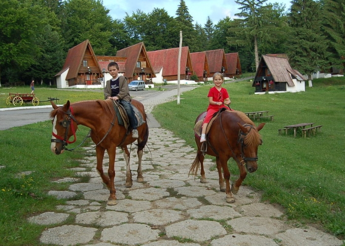  Transilvania Poiana Brasov poza