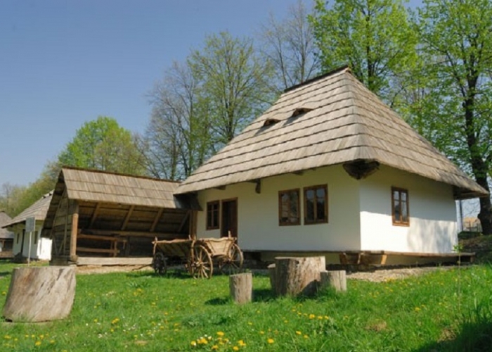  Bucovina poza