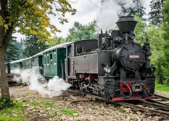  Bucovina Sucevita poza