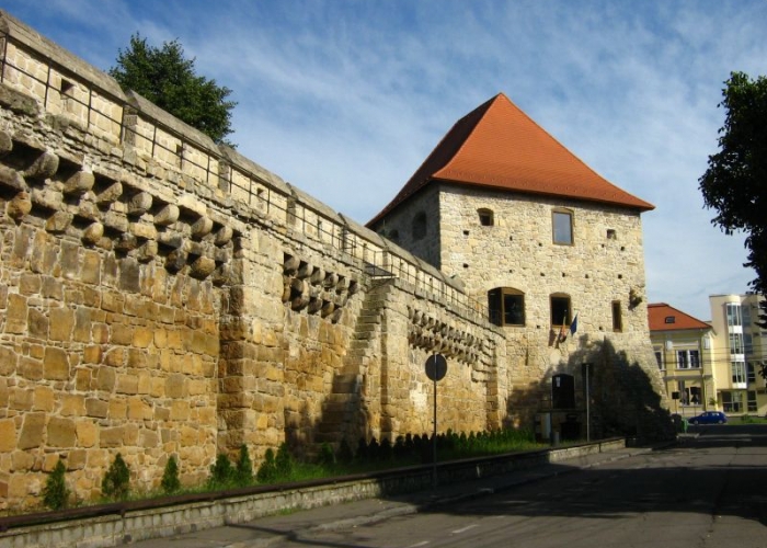  Transilvania Medias poza