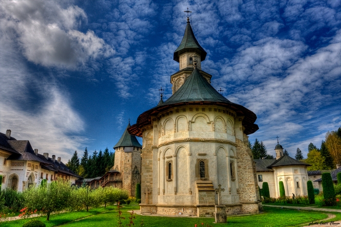  Bucovina poza