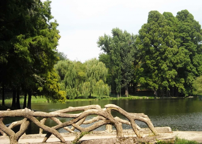 Oltenia Craiova poza Oltenia Craiova poza