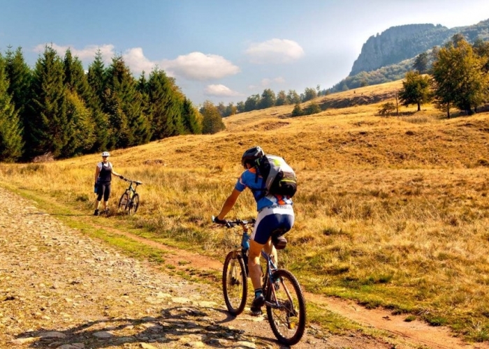  Maramures Sat Danesti (com Sisesti) poza