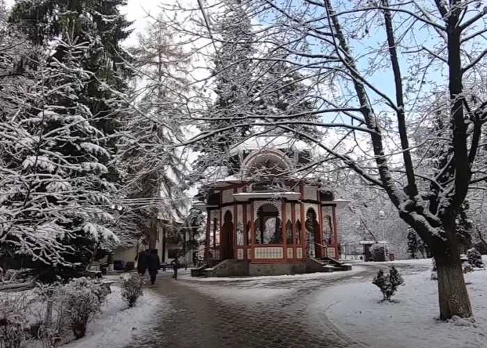  Bucovina Vatra Dornei poza