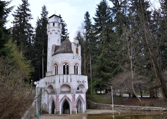  Bucovina Vatra Dornei poza