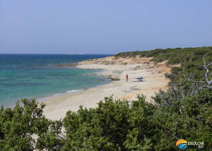  Insula Naxos Agios Georgios Beach poza