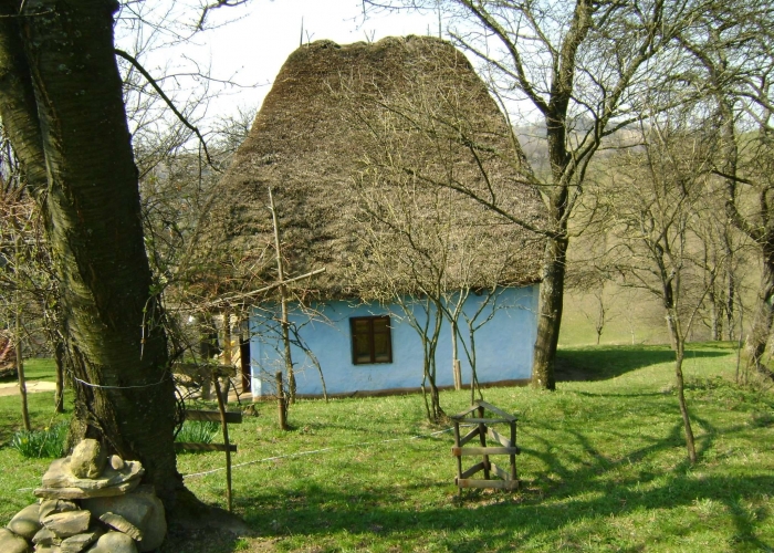  Maramures Borsa poza