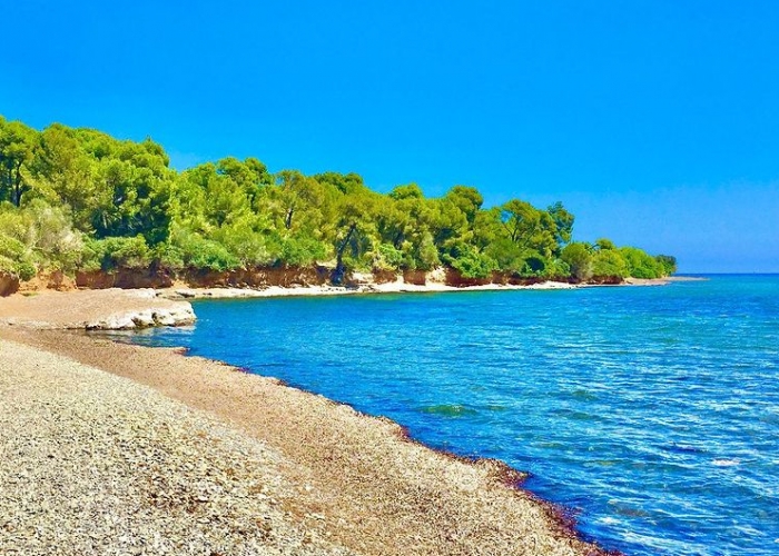  Mallorca El Arenal poza