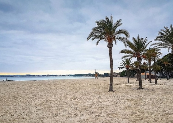  Mallorca Alcudia poza