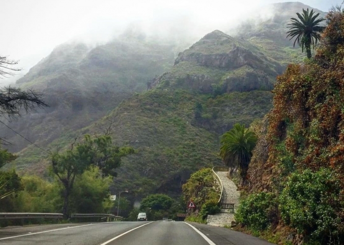  Insula Tenerife Santa Cruz De Tenerife poza