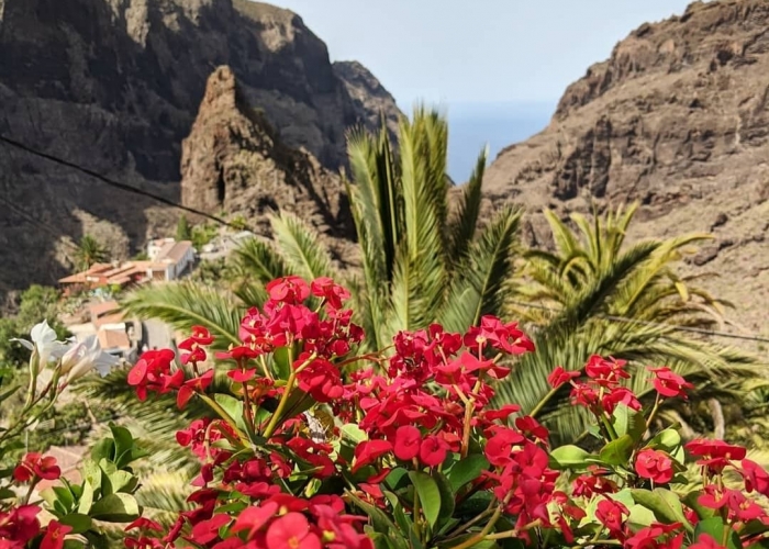  Insula Tenerife La Gomera poza