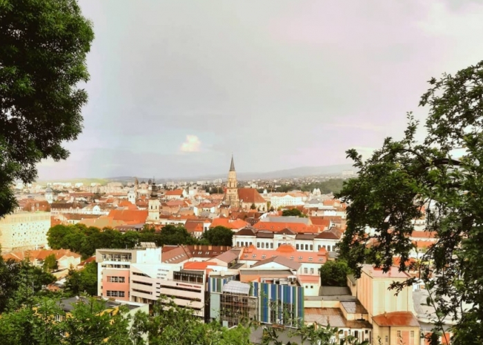  Transilvania Cluj Napoca poza