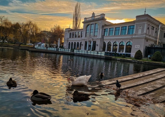  Transilvania Cluj Napoca poza