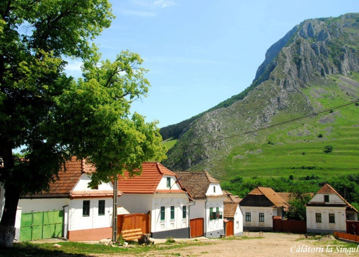  Transilvania Bran poza