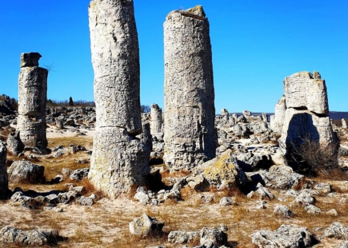  Dobrici Kavarna poza