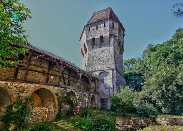  Transilvania Sighisoara poza