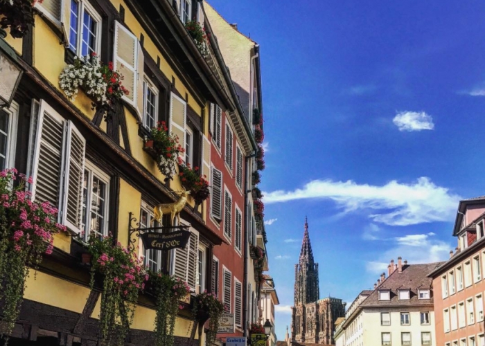  Alsace Strasbourg poza