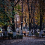 poza Parcul balnear Băile Govora - un loc potrivit pentru plimbări relaxante și revigorante