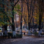 poza Parcul balnear Băile Govora - un loc potrivit pentru plimbări relaxante și revigorante