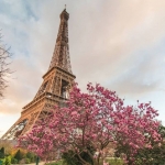 poza Top 10 cele mai luxoase hoteluri din  Paris