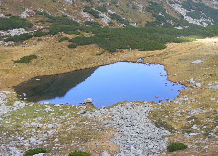 poza Borșa - un micuț orășel din Maramureș, înconjurat de obiective turistice 