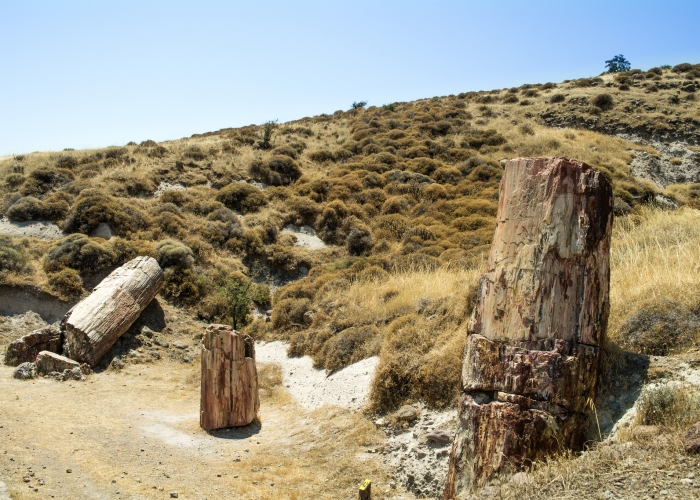 poza Insula Lesbos - descoperiți o altă față a Greciei