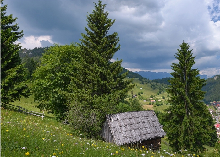 poza Moieciu de Sus - destinația perfectă pentru o vacanță relaxantă