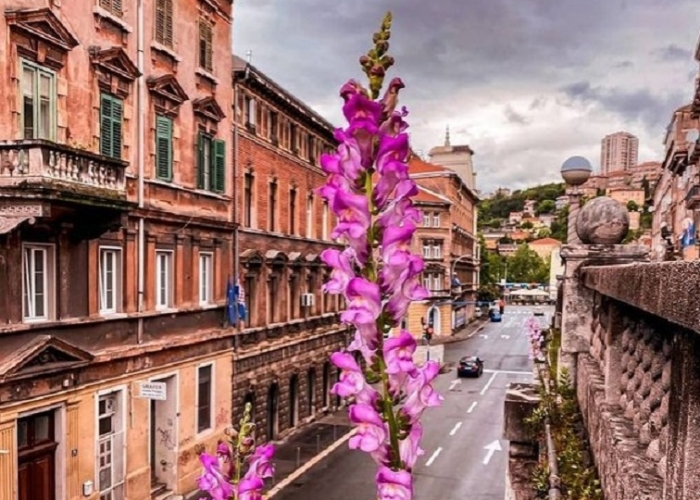 poza Kvarner - o regiune a Croației înțesată de atracții turistice