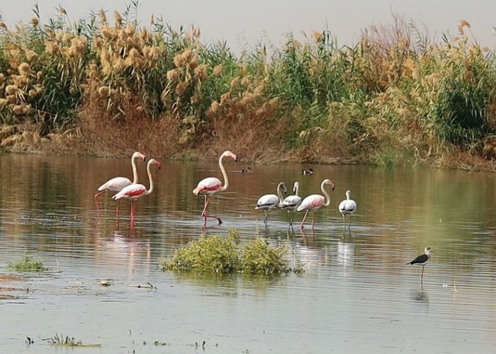 poza Aswan - petreceți o vacanță pe malul Nilului 