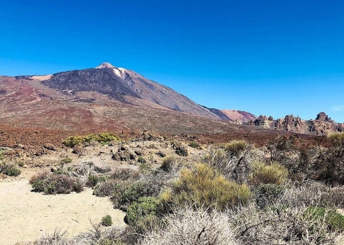 poza Câteva motive pentru a alege să vă petreceți vacanța în Santa Cruz de Tenerife