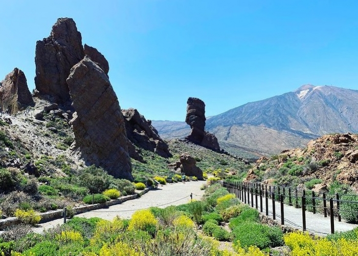 poza Bucurați-vă de o vacanță memorabilă în Insula Tenerife