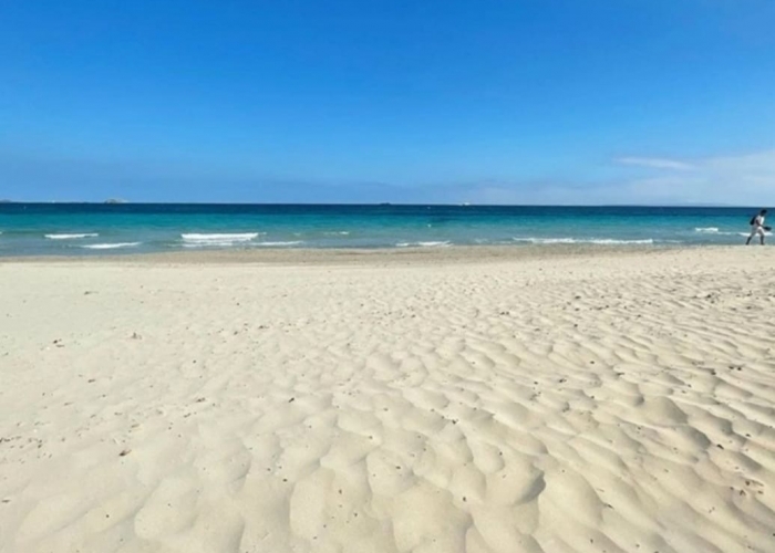 Bucurați-vă de o vacanță animată în Playa D poza Bucurați-vă de o vacanță animată în Playa D