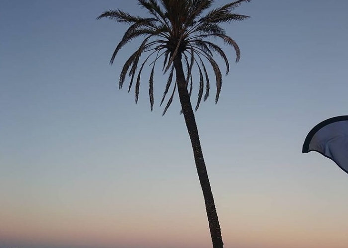 poza Bucurati-va de o vacanta animata in Playa D