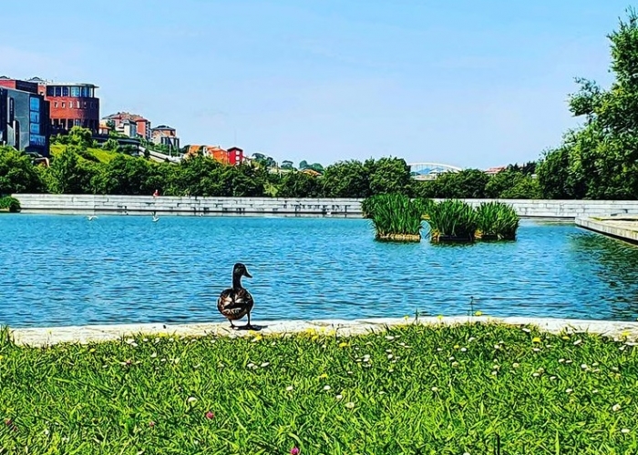 poza Petreceți o vacanță relaxantă în Santander