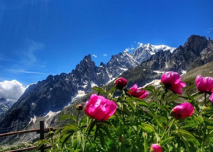 poza Sejur în Courmayeur, cea mai bună stațiune de ski a Italiei