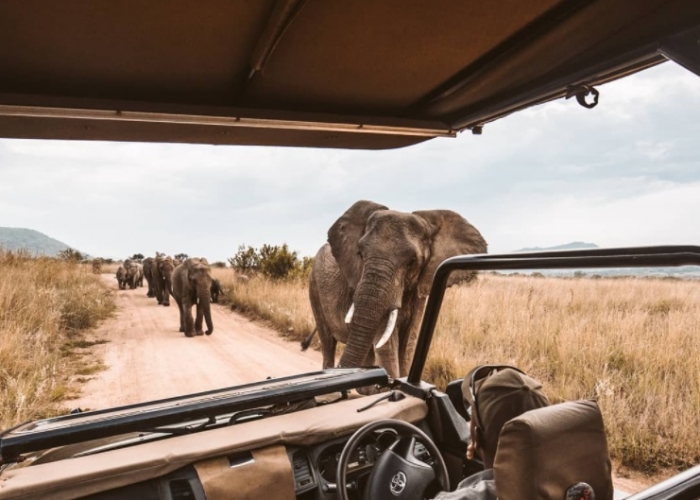 poza Bucurați-vă de vacanțe fascinante în Tanzania
