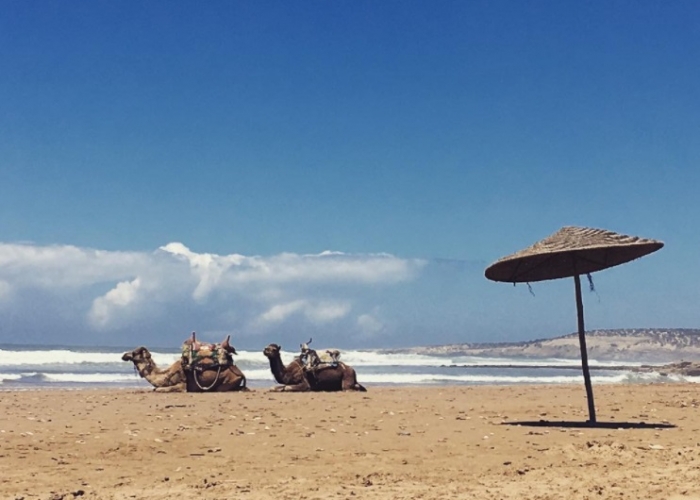 poza Petreceți un sejur fascinant în Maroc