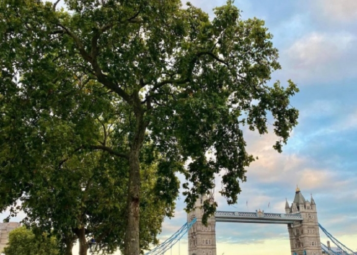 poza Sejur în Londra, una dintre cele mai frumoase metropole europene