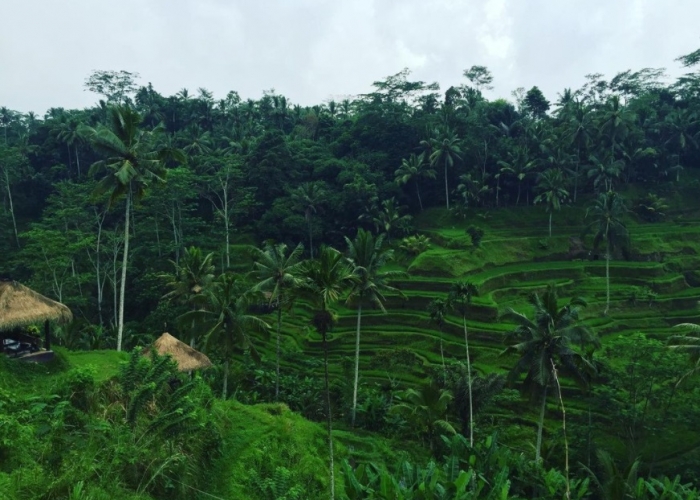 poza Petreceți un sejur în Ubud, cel mai autentic loc din Bali