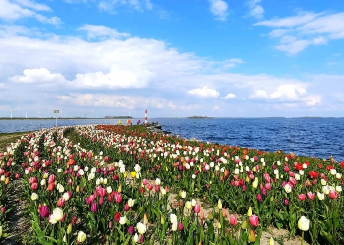 poza Petreceți un sejur relaxant în  Amsterdam 