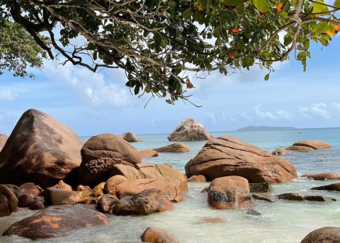 Petreceți un sejur exotic în Praslin poza Petreceți un sejur exotic în Praslin