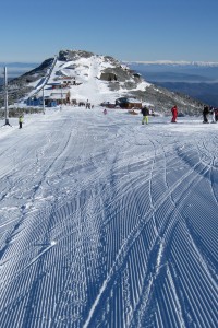 Borovets