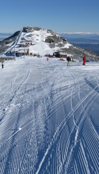 Borovets