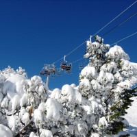 Borovets